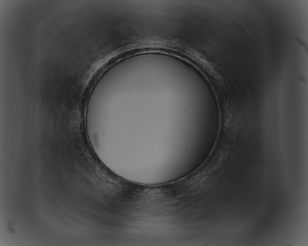 X0000101461264200807141259