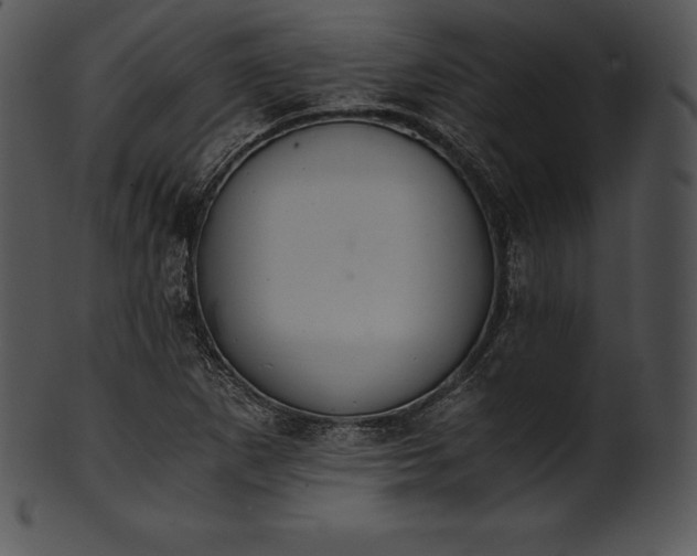 X0000101461265200807141259