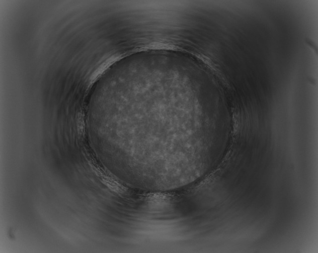 X0000101461266200807141259