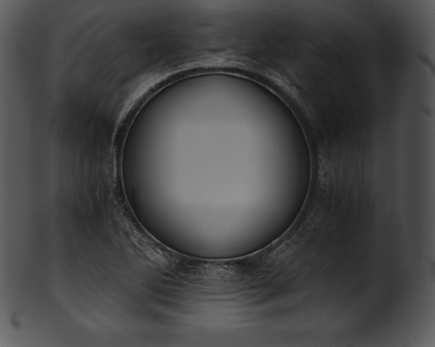 X0000101461270200807141258
