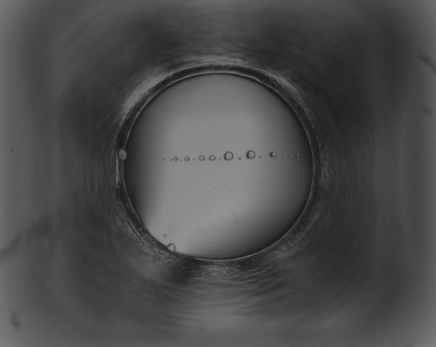 X0000101461271200807141258