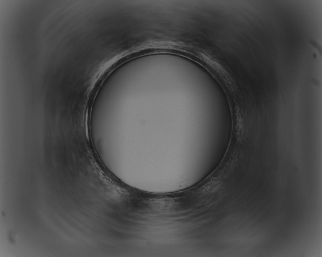 X0000101461272200807141258