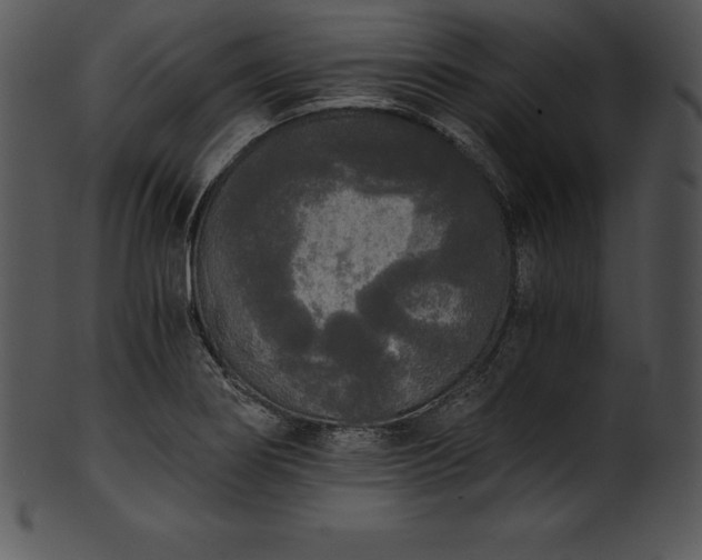 X0000101461274200807141258