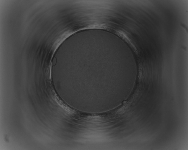 X0000101461276200807141258