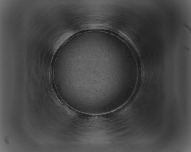 X0000101461277200807141258