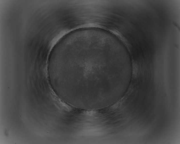 X0000101461278200807141258