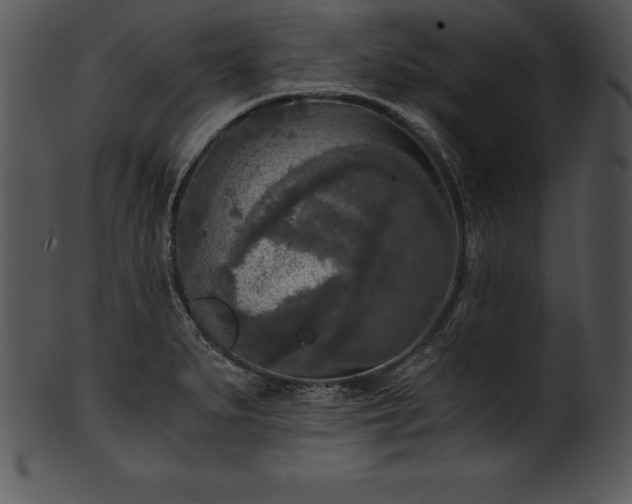 X0000101461279200807141258