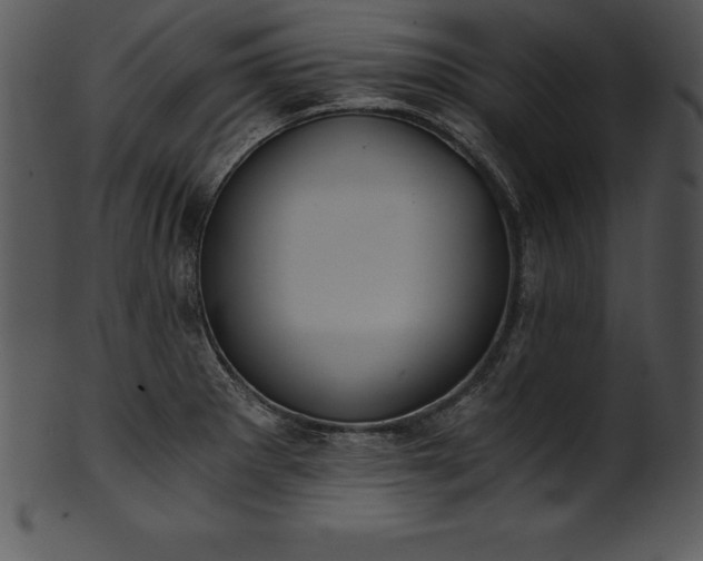 X0000101461281200807141258
