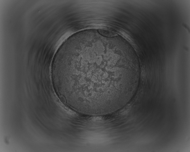 X0000101461283200807141258