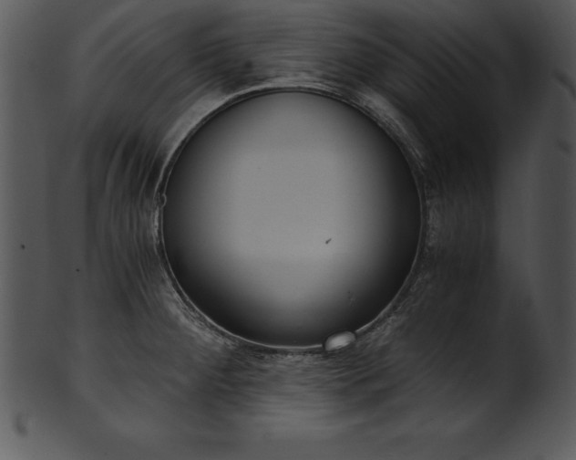 X0000101461284200807141258