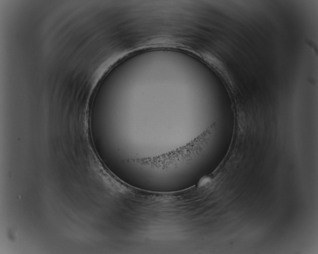 X0000101461288200807141258