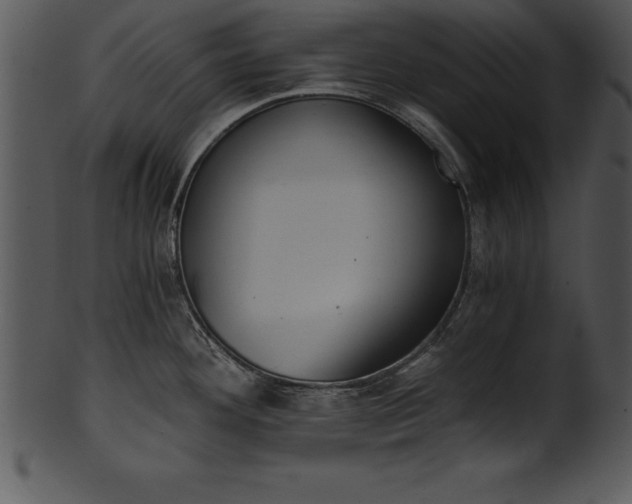 X0000101461292200807141258
