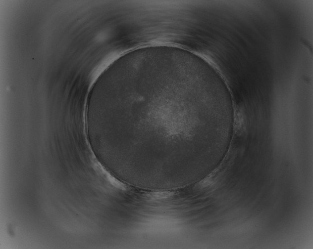 X0000101461294200807141258