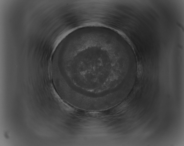 X0000101461295200807141258