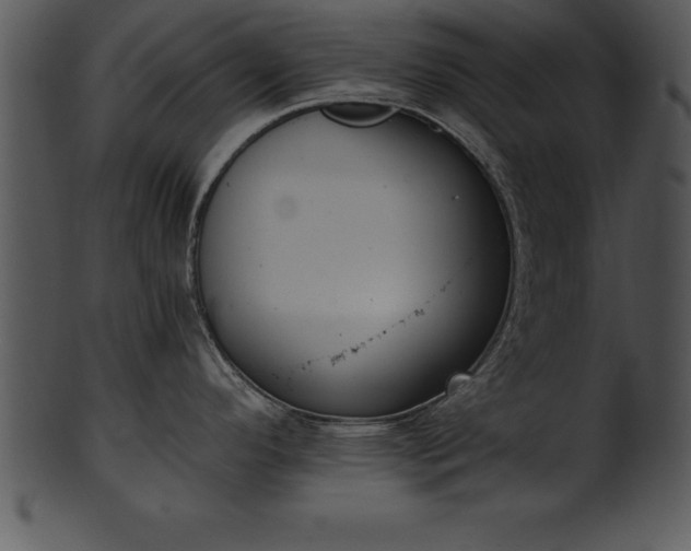 X0000101461296200807141258