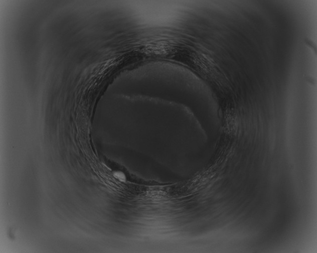 X0000101461297200807141257