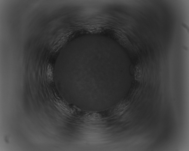 X0000101461298200807141257