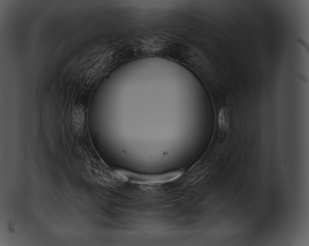 X0000101461299200807141257