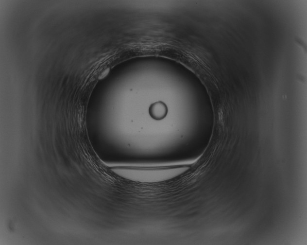 X0000101461300200807141257