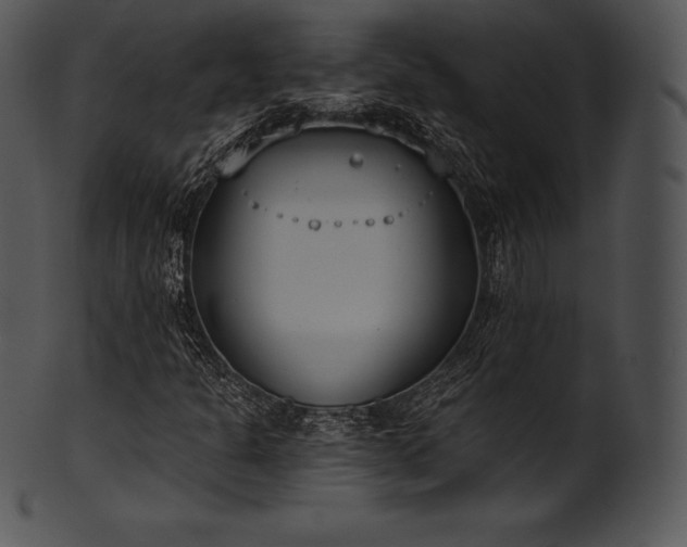 X0000101461301200807141257