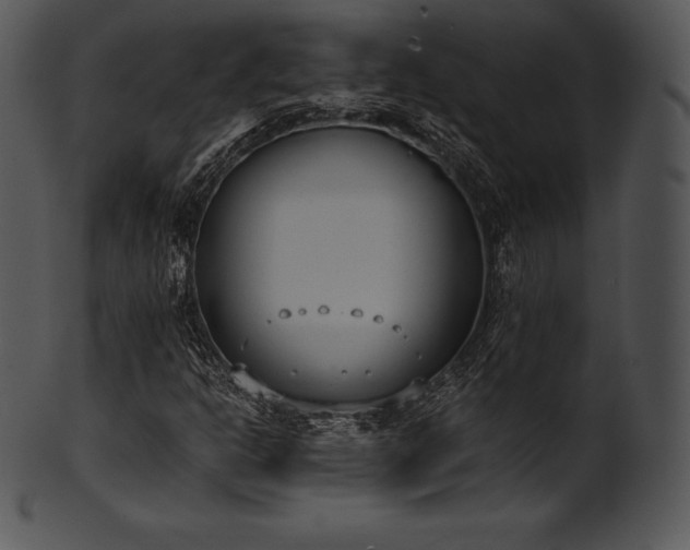 X0000101461302200807141257
