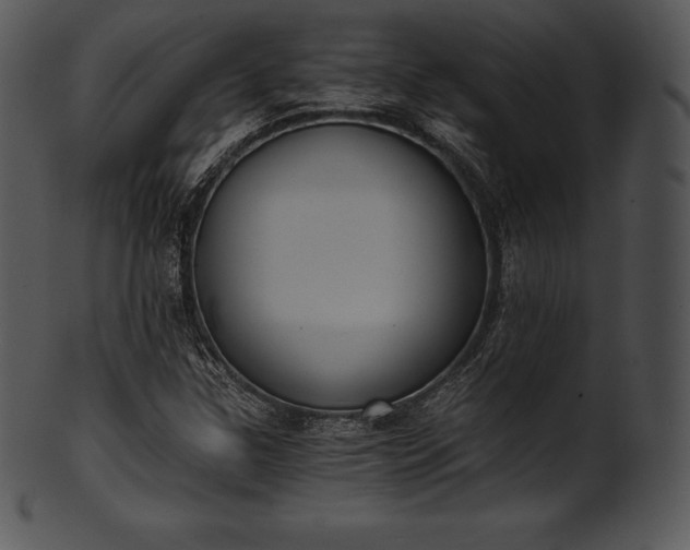 X0000101461307200807141258