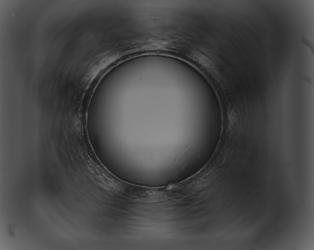 X0000101461308200807141258