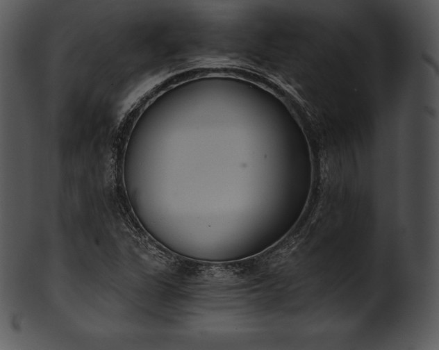 X0000101461311200807141258