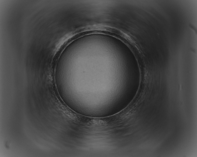 X0000101461312200807141258