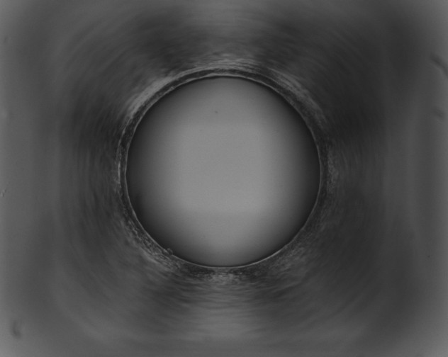 X0000101461316200807141258