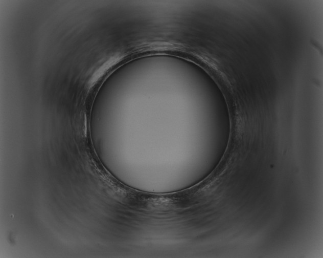 X0000101461317200807141258