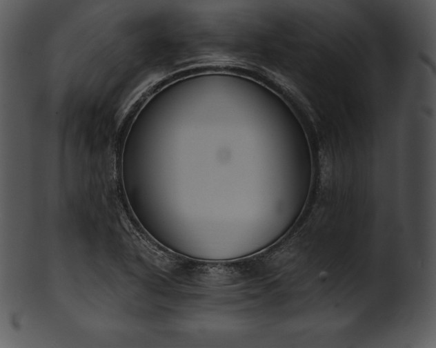 X0000101461318200807141258