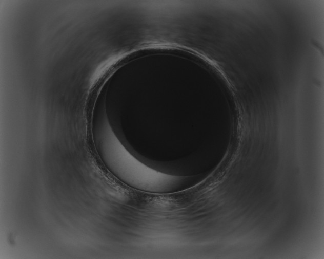 X0000101461319200807141258