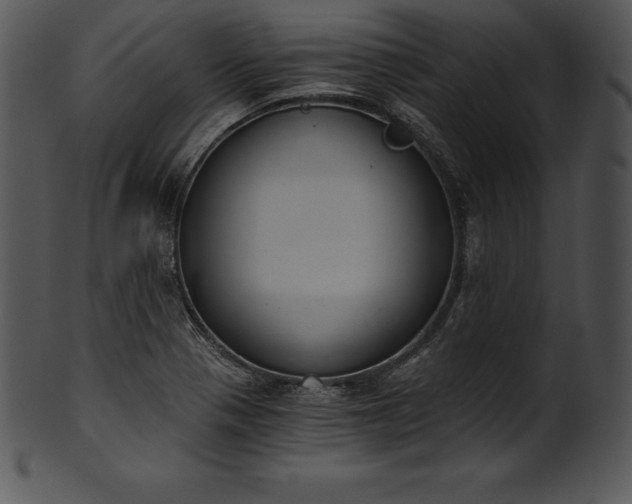 X0000101461321200807141258