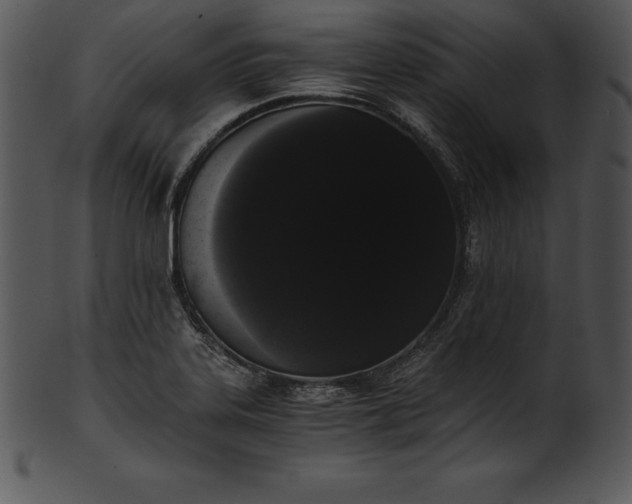 X0000101461323200807141258