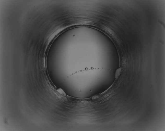 X0000101461324200807141258