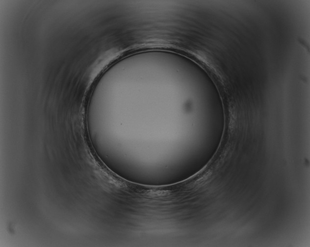 X0000101461325200807141258