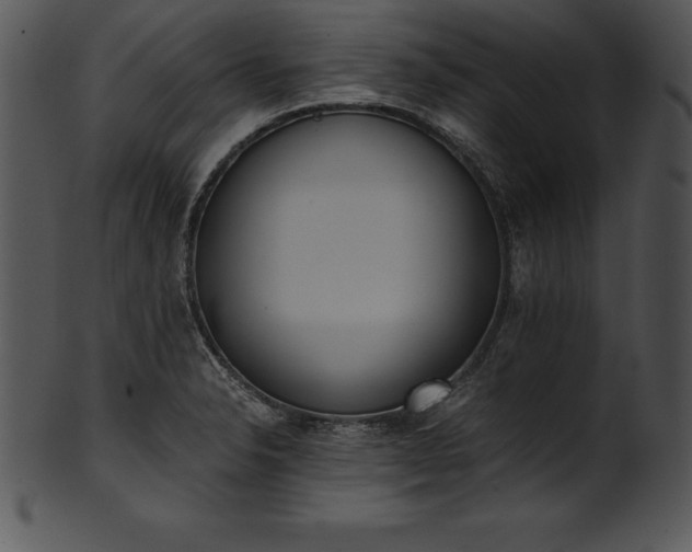 X0000101461326200807141258