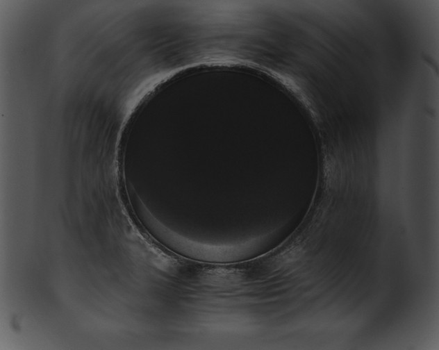 X0000101461327200807141258