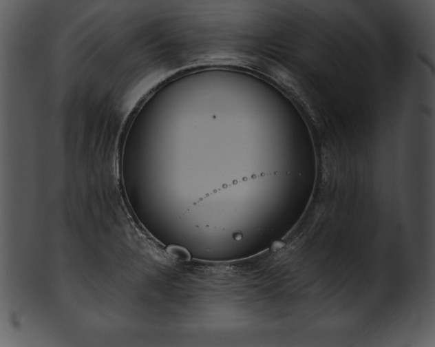 X0000101461328200807141258