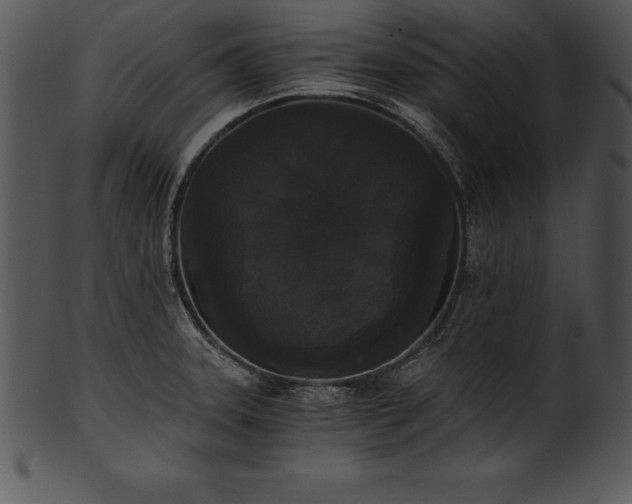 X0000101461331200807141258