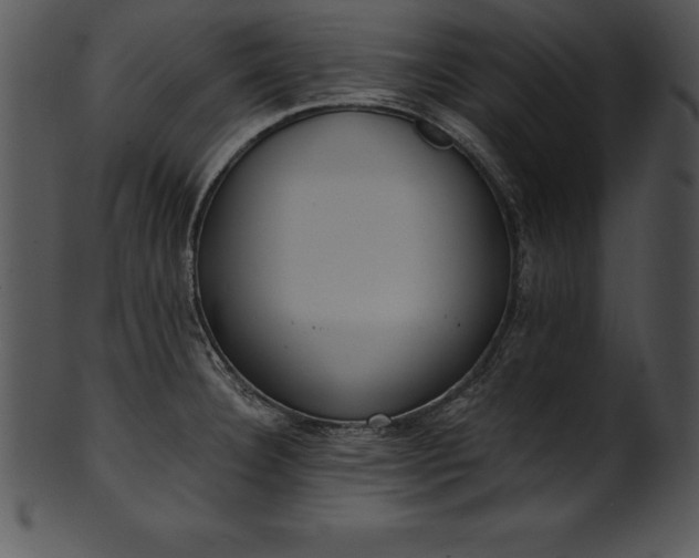 X0000101461332200807141258