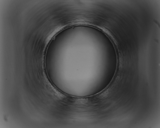 X0000101461333200807141258