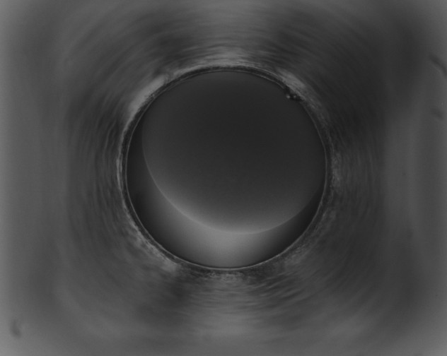 X0000101461334200807141258