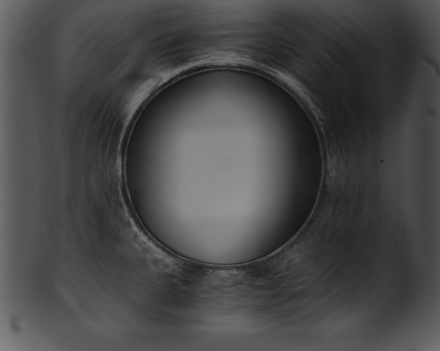 X0000101461335200807141258