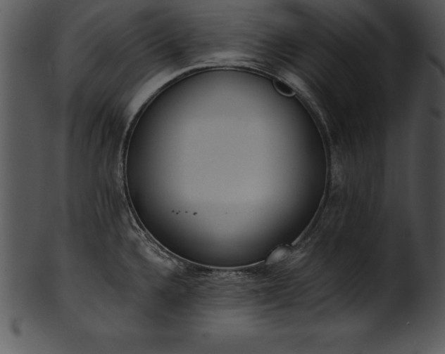 X0000101461336200807141258