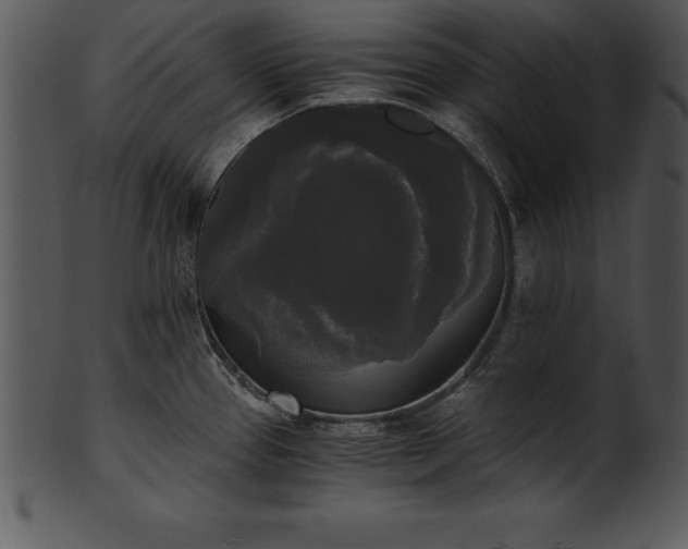 X0000101461337200807141258