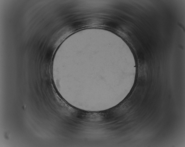 X0000101461338200807141258