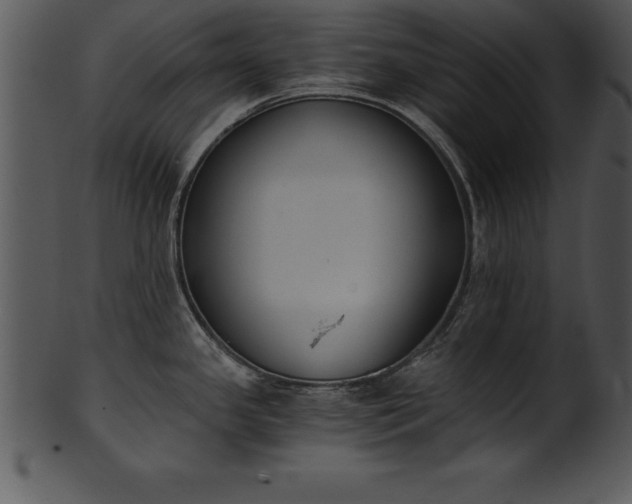 X0000101461341200807141258