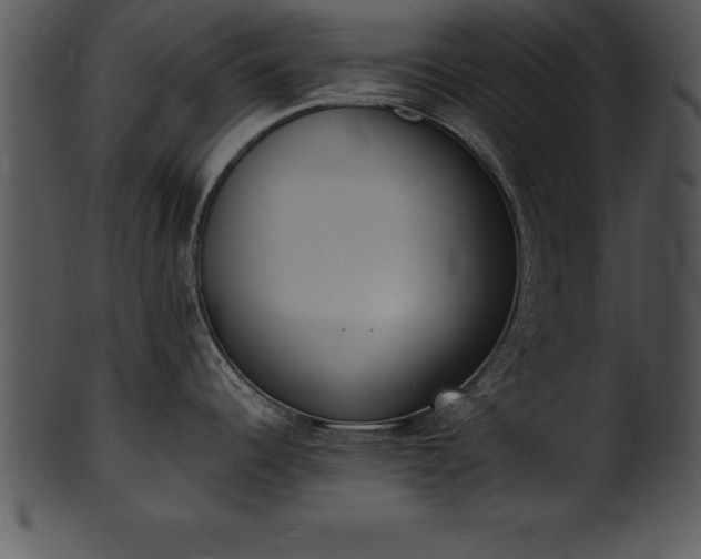 X0000101461344200807141258